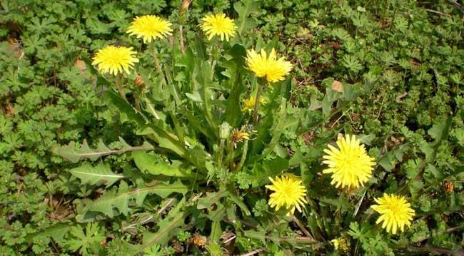 50个美容养生大坑,千万别跳进去!