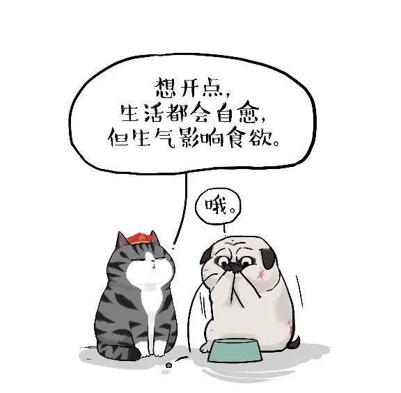 因为|从默默无闻到全网爆红,他治好了3000万人的不开心