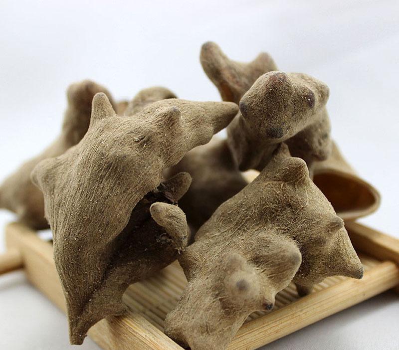 小小五倍子,止痛特效药!煎汤漱漱口,专治各种牙痛,立竿见影!_牙齿