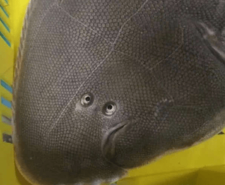 搞笑GIF：五菱不愧是大哥，天塌下來大哥頂著！ 搞笑整蠱 第7张