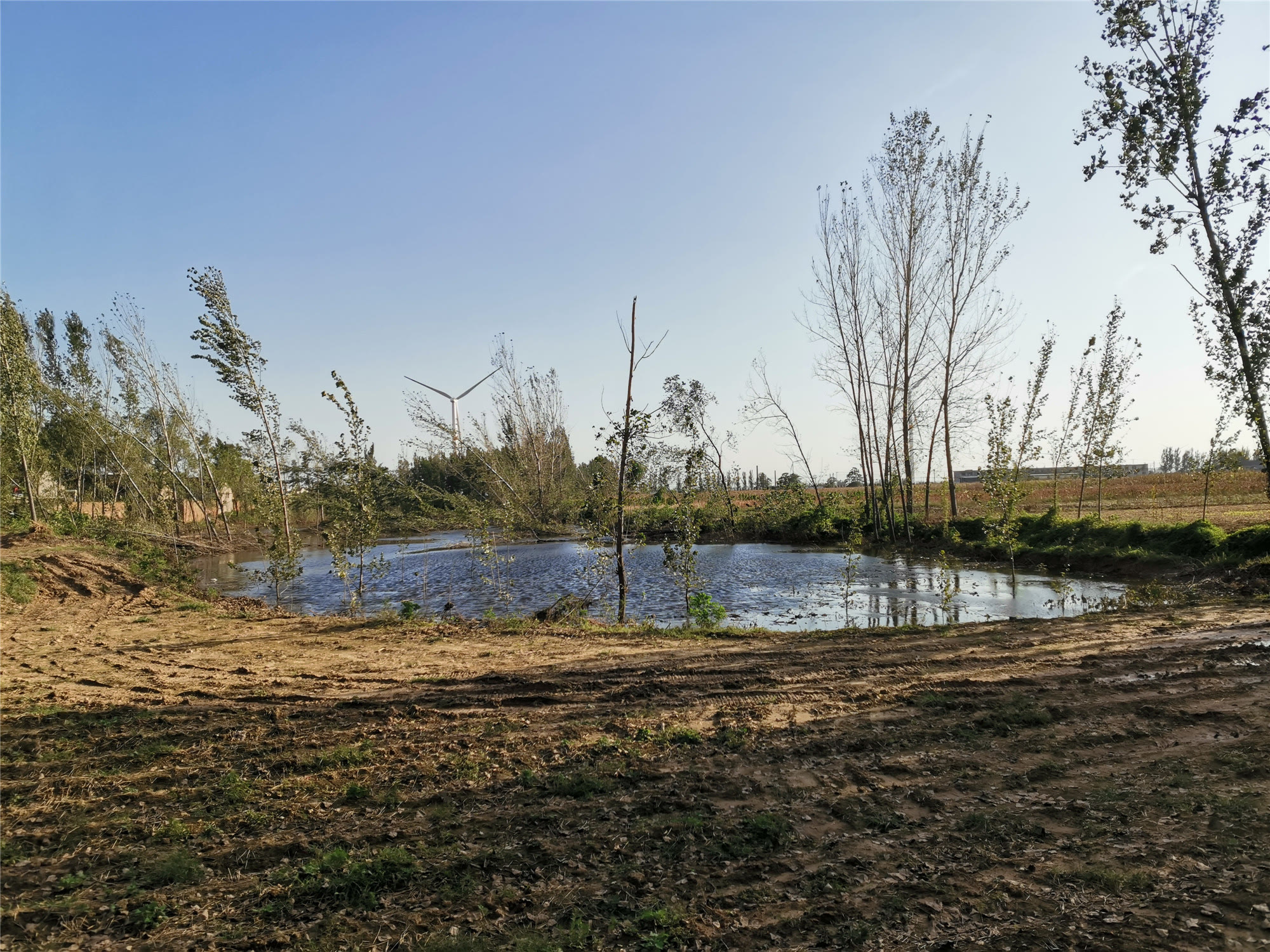 村子里的大水坑,波光粼粼,换个角度看也挺好看