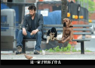笑話：每次去吃飯，服務員都對我笑，終於我忍不住問她 搞笑整蠱 第7张
