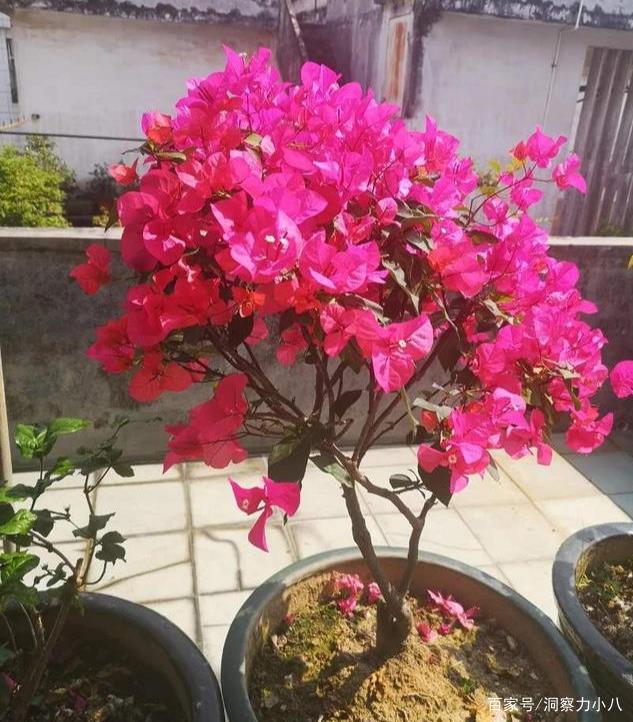 aaa1717cda9b495994aed89fbe93e889.jpeg