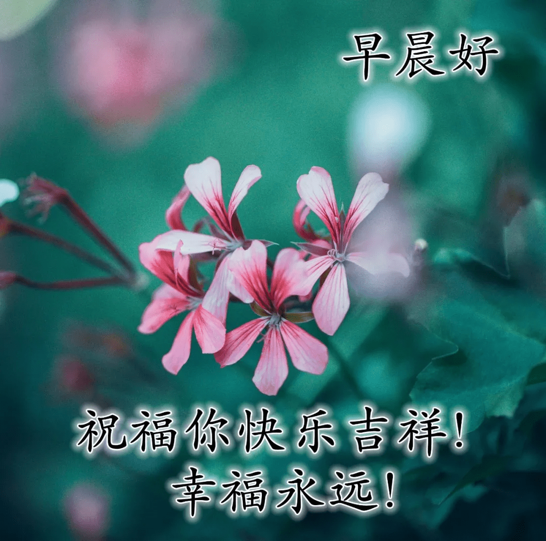 原創最美的祝福朋友早安圖片值得分享朋友圈的早上好問候語