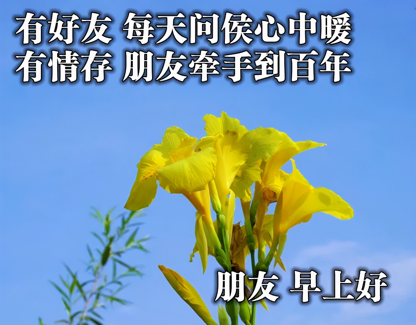 原創分享朋友圈新版早安圖片帶字最美的早安祝福問候暖心語錄