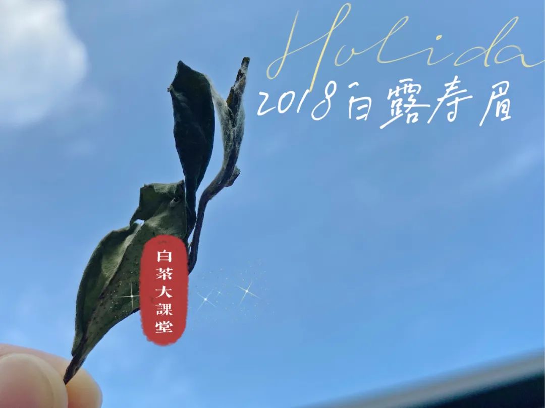 茶叶|为什么白茶泡了2次就淡了，耐泡度不如红茶和岩茶？真相来了