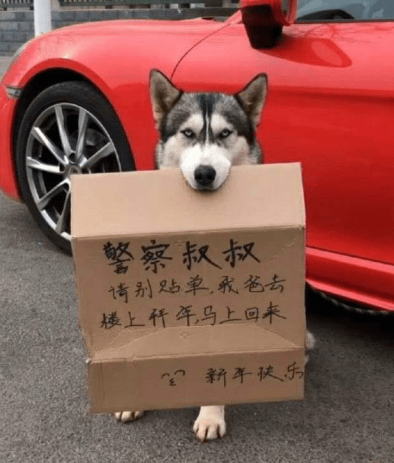 爆笑GIF圖：姑娘收起你那幽怨的眼神吧 搞笑整蠱 第9张