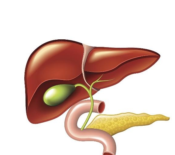 肝脏|肝脏不好的人，全身上下可能透着6个“样子”，别忽视