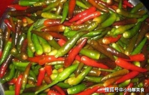 怎样腌制辣椒最好吃不坏 a57f32d2d9e04c10a6ae3defb77995de.jpeg