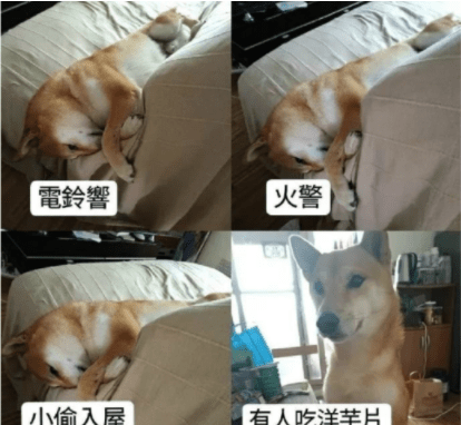 搞笑段子：大哥大嫂出差了，我代他們到侄子的學校開家長會 搞笑整蠱 第8张