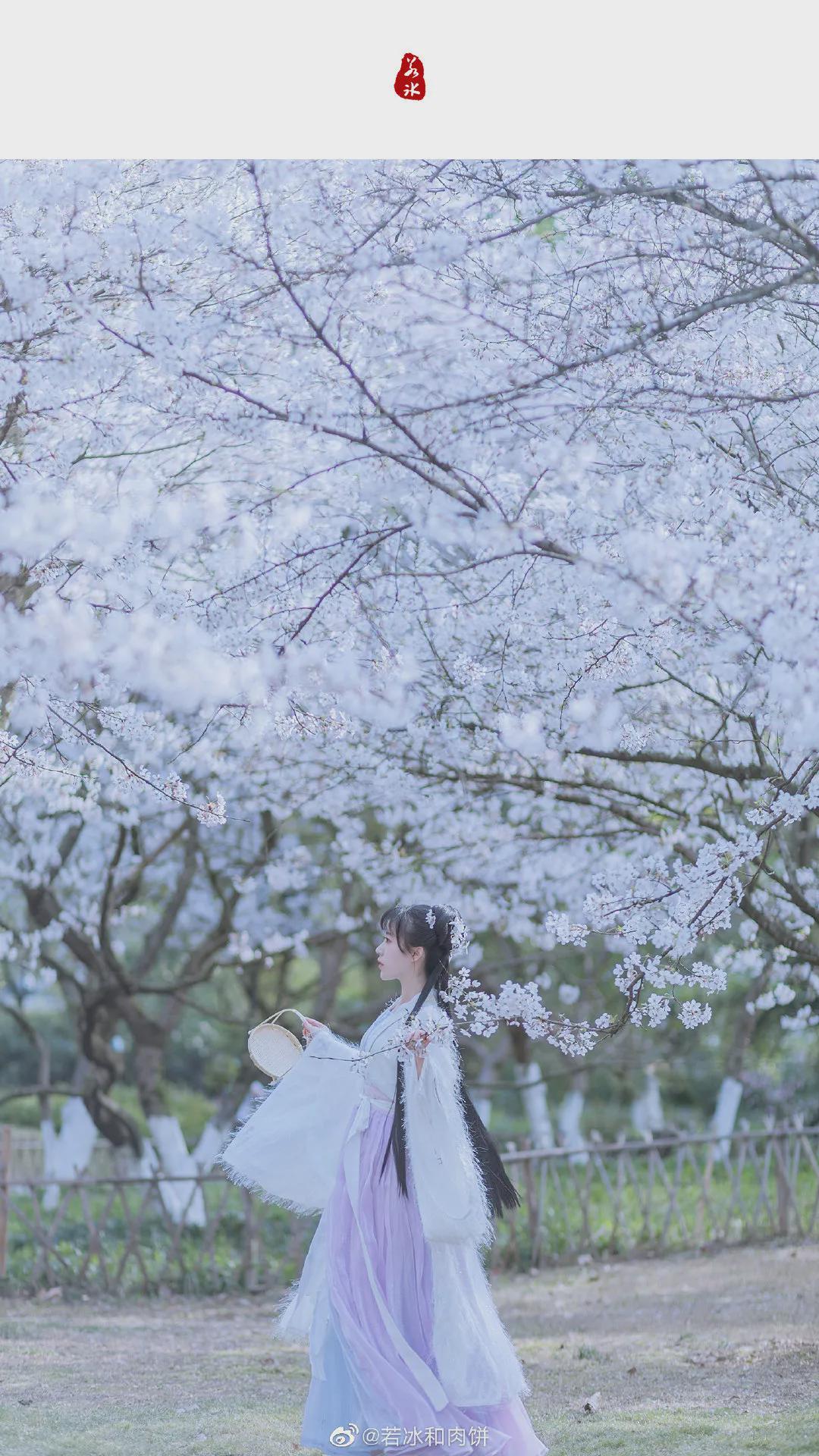 春色 汉服小仙女:春路雨添花,花动一山春色