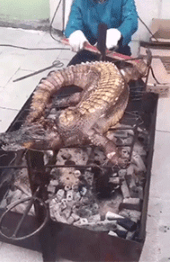 搞笑GIF：烤全羊算什麼，有本事你烤這個 搞笑整蠱 第1张