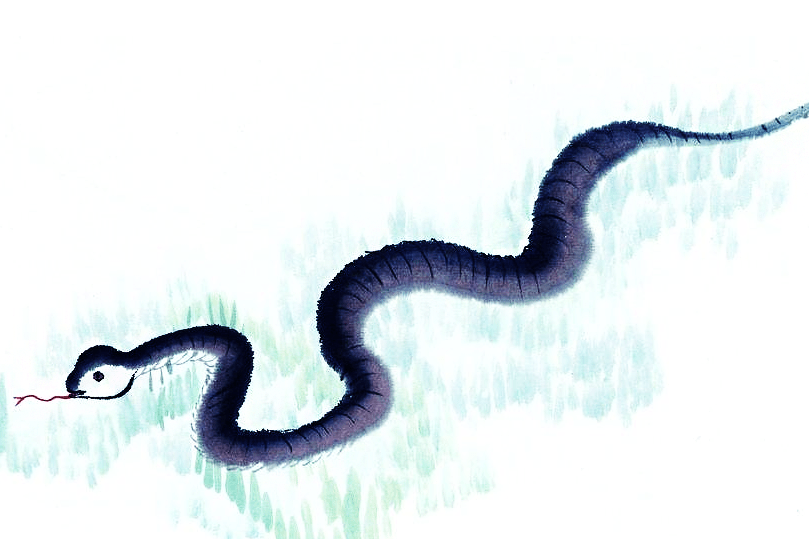 蛇是什么样的呢 3e9057727320416894bea323f76c56d3.png