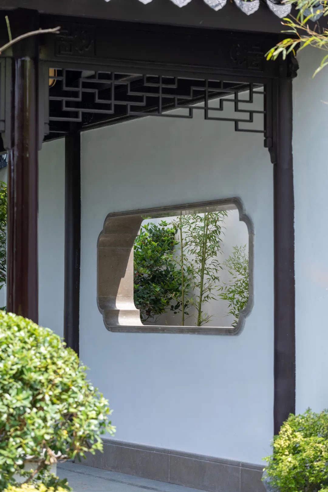 奥运冠军一见钟情！全绍兴人都想要的房子，究竟有何魅力？_水牌