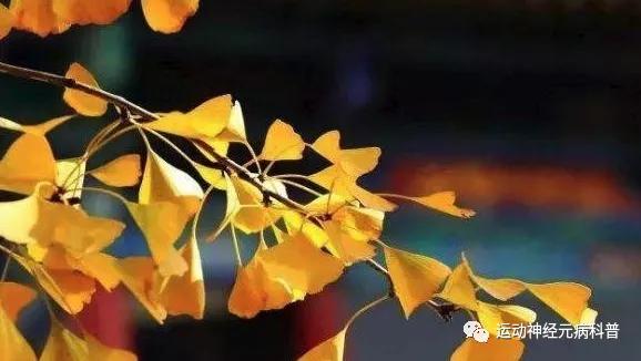 亚型|原发性侧索硬化是运动神经元吗？