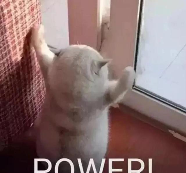 陈赫|《最后的赢家》全员配合赵又廷飙戏?秦霄贤直接大喊“放回去”