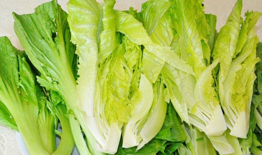 生菜含维生素有哪些 945d12e19c964250a2195368a45858f8.jpeg