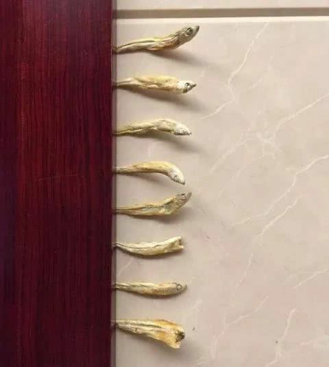 搞笑gif：你就別忙活了，我是穿了安全褲的 搞笑整蠱 第6张