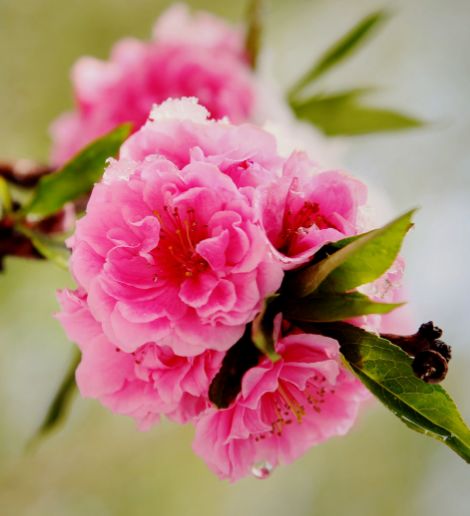 1月25号开始,4属相风生水起,工作进步,事业顺心,越来越美好_好运