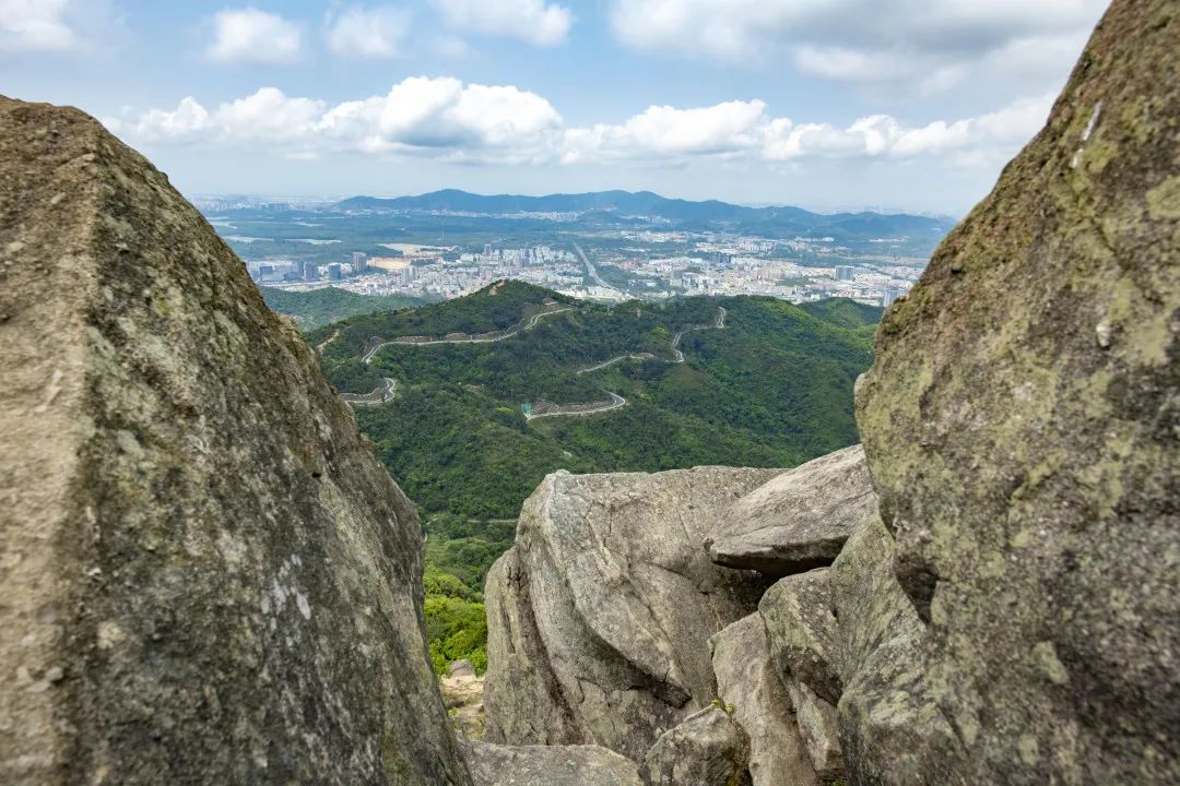 重阳节登高望远深圳阳台山森林公园一路风景一路歌
