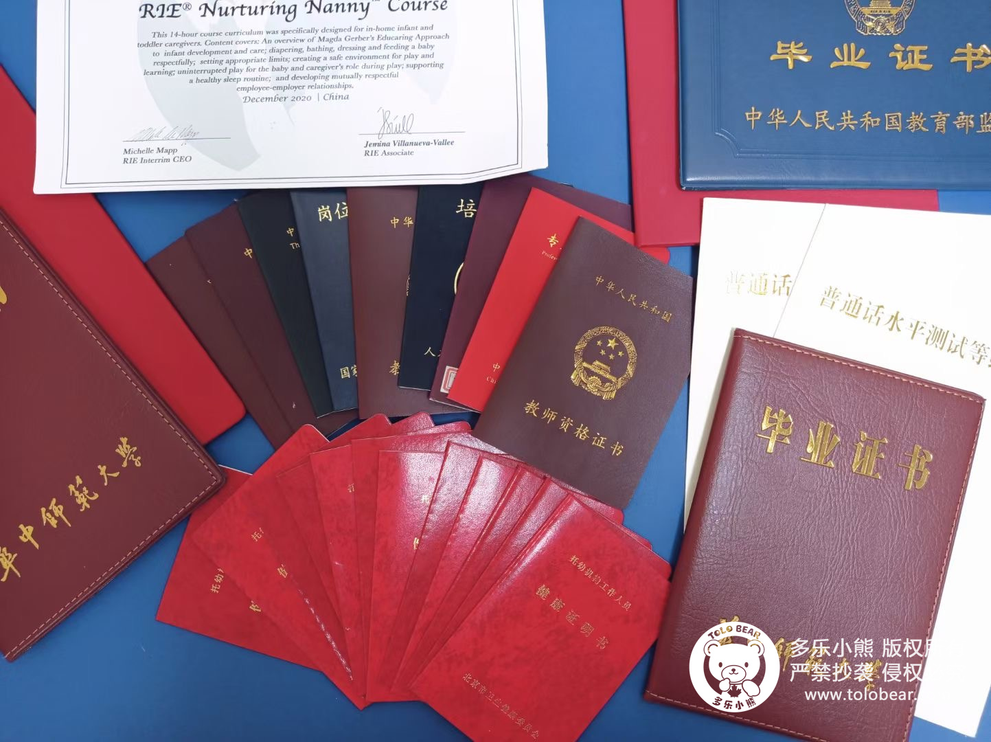 探秘京城二环边的森系托育园带你进入绿色精灵世界