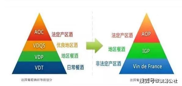 Europ|这种酒，你千万别买贵了！