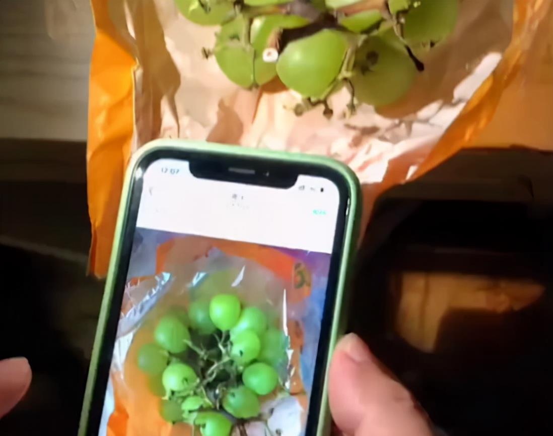 福建男子出酒店随便拍了张照片 回来发现葡萄少了两粒 结局亮了 工作 新闻时间