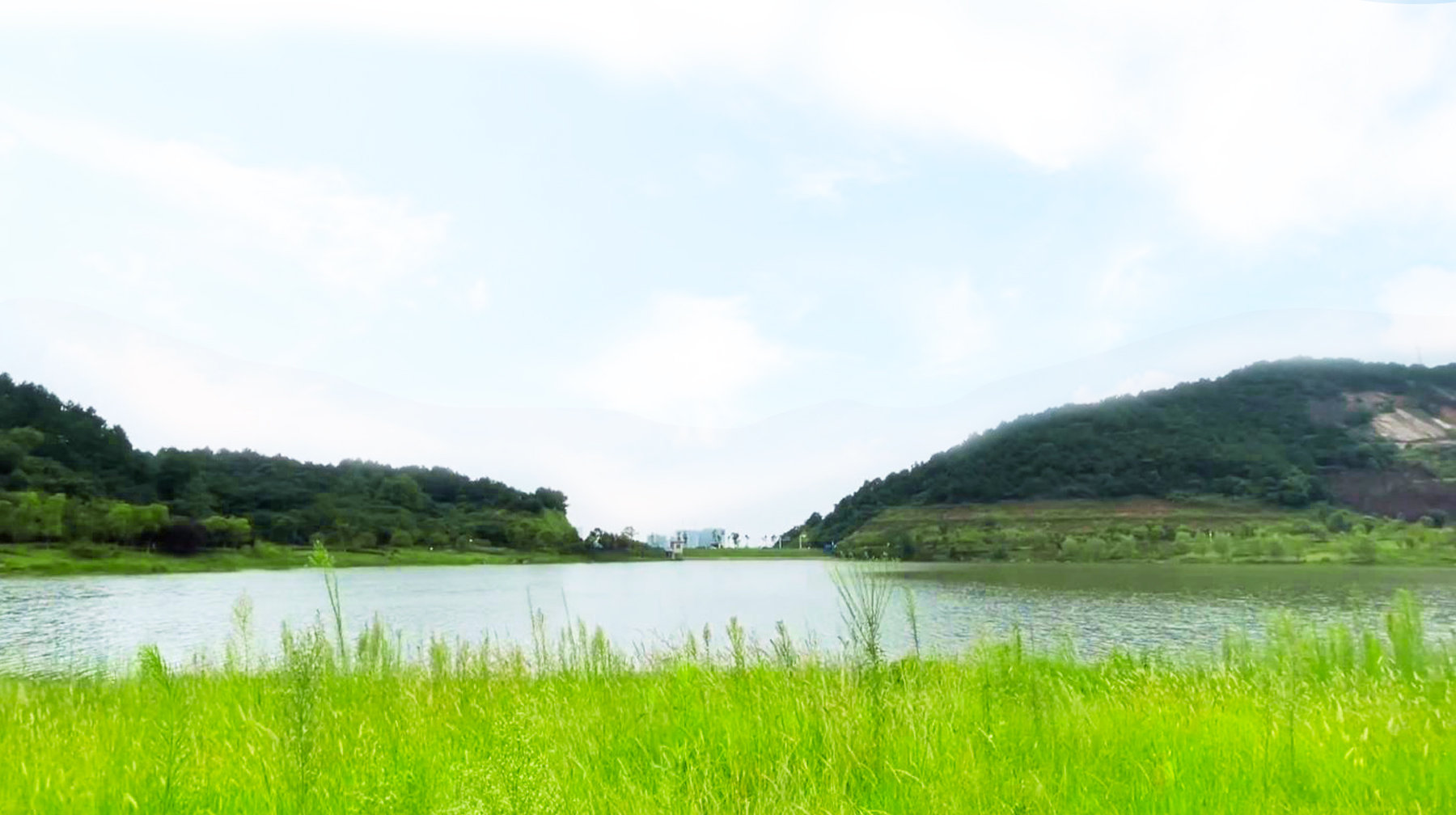 原创打卡武汉新城区九峰水库,在山林绿道间漫步,幽深风景藏在人少处