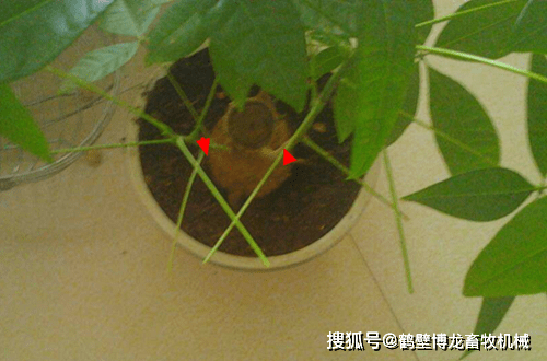 0579fae4fab246ca857a442856d5cbef.png