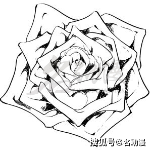 16606b506ec94bf78a9c7245cf124d13.jpeg