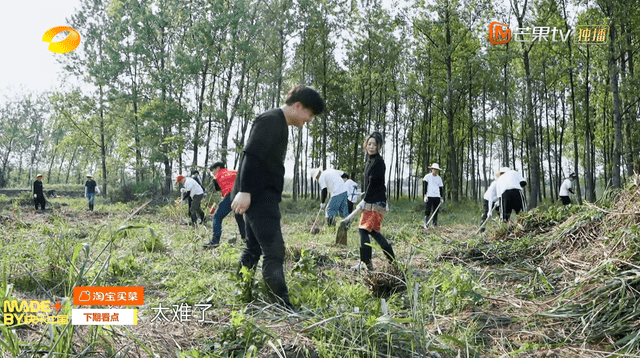 客人|大咖不用干活？那英梁静完美避开重活，维嘉带大批新人专程干苦力2