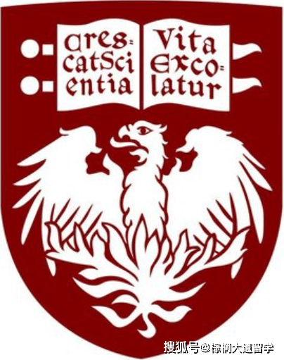 无CS背景可以转申计算机吗？这些项目了解下！