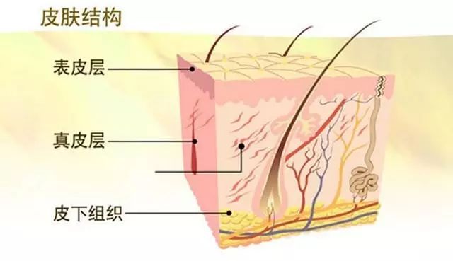 亚洲文章男士怎么护肤？全网公认最适合亚洲肤质的男士护肤套装推荐