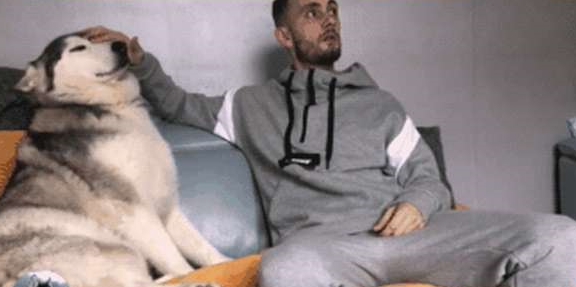 才会二哈长时间被冷落，看到小主人没在，它又开始装可怜了