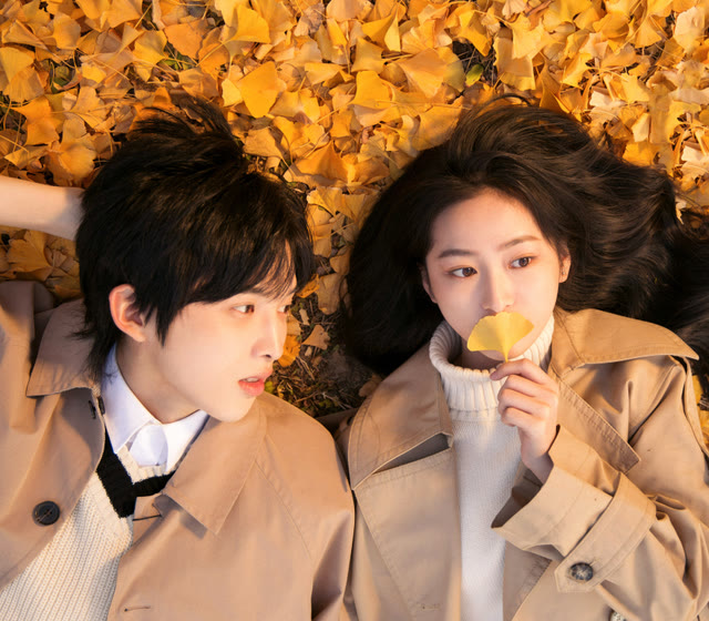 因为|《扑水的少年》扑了，上映12天仅4800万票房，导演“卖惨”也没用