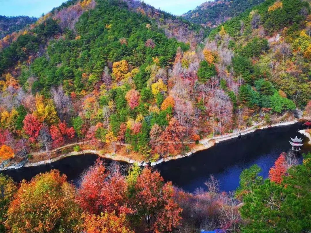 赏红枫、打糍粑、登远山，重阳赏秋这样才精彩！