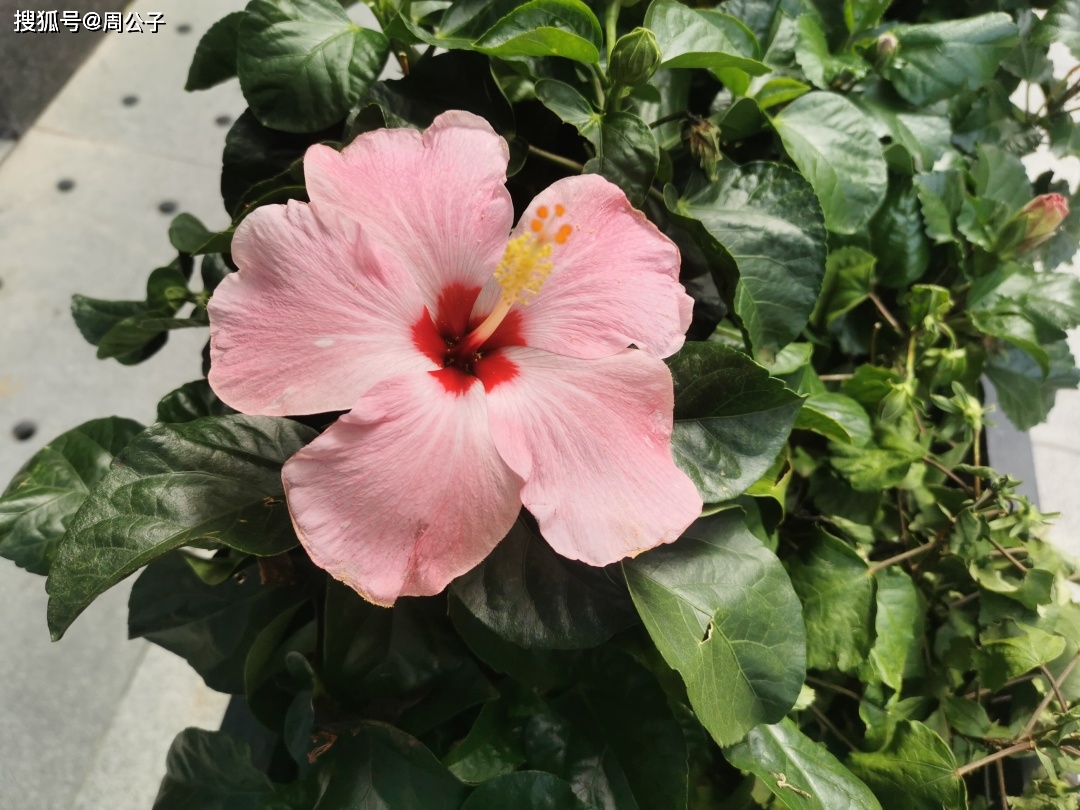 大厦|周公子说 | 你是不是也接受不了一成不变的自己