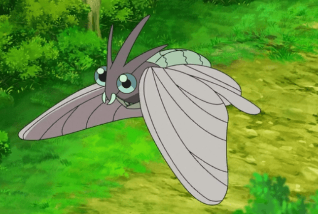 《宝可梦》来源与生态:似蝶似蛾,可能也喜欢吸血的摩鲁蛾!