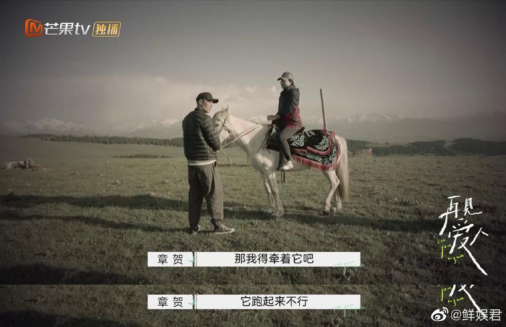 恋情橘子晚报：他恋情曝光，不是之前的小三？齐刘海的杨紫长这样？