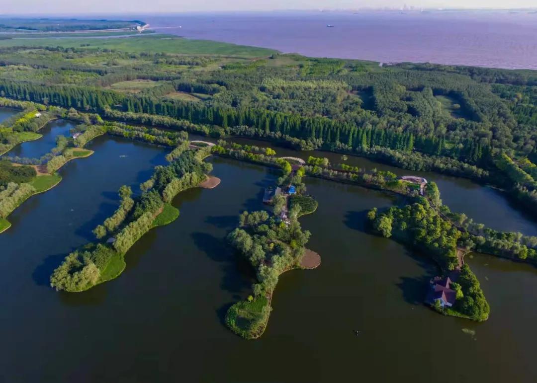世界级生态岛.