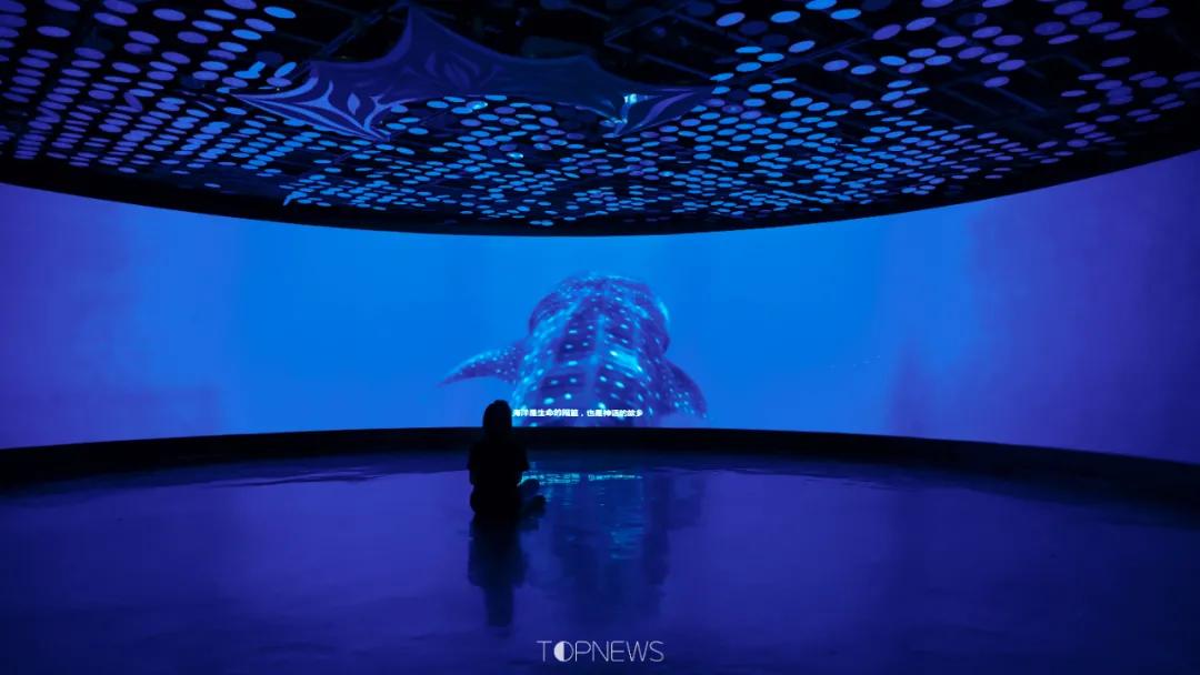 深藏BLUE！同济大学深海探索馆真的火了！