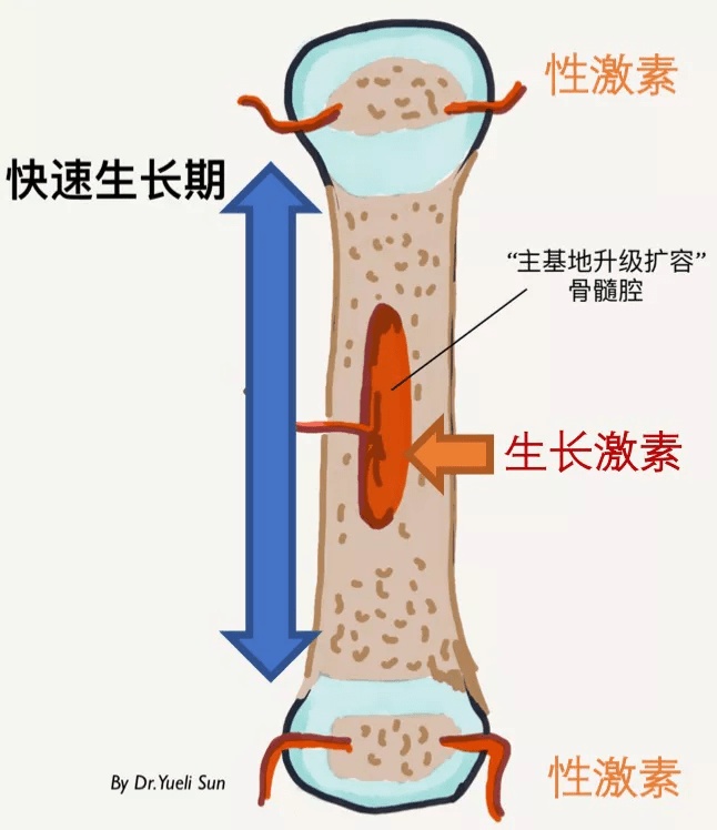 e97178e3713c4af885bddfbb7ad76ff6.png