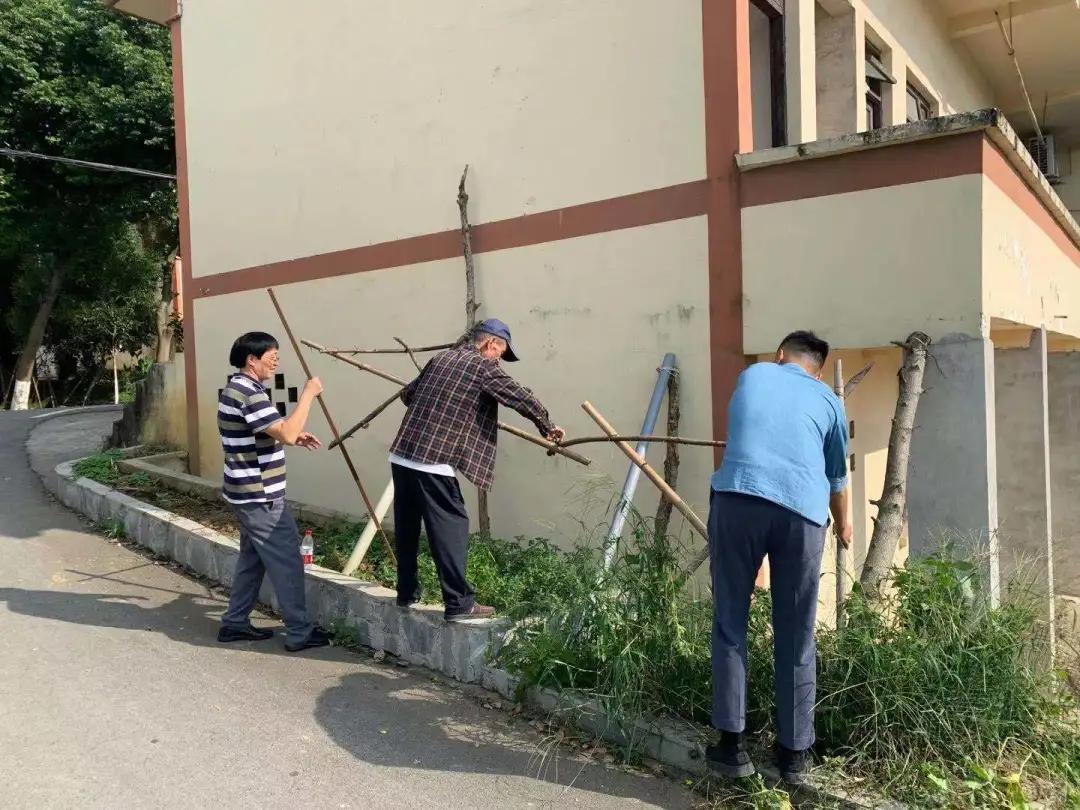 环境|沙坪坝：田园处处美，乡村一片新