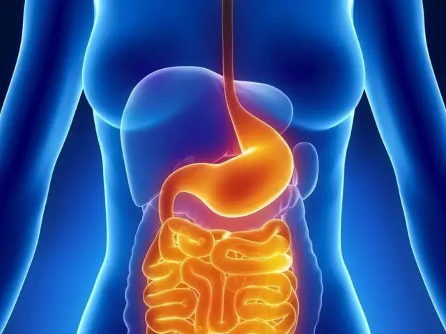 咨询|宁波博仕胃肠病医院咨询胃溃疡