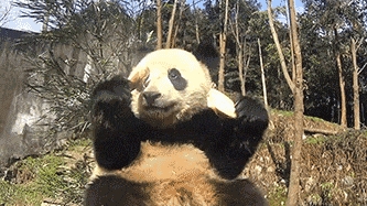 6b44aa3d0a1b43a8a8829d99e6aab63d.jpeg
