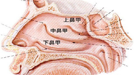 (點石師爺)王永月醫生詳解什麼是鼻甲肥大