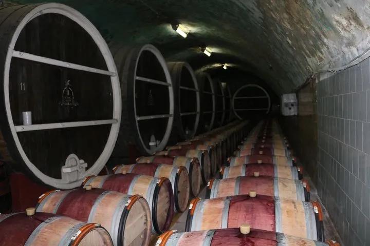 植物|欧洲小国摩尔多瓦,除了葡萄酒,还有野马郁兰精油