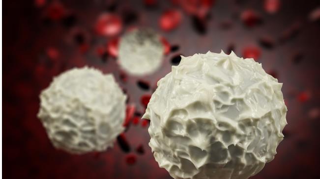 血清|尿白细胞增多是尿路感染还是肾炎？