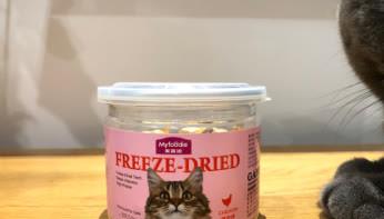 瑞萌|英短喜欢吃的猫零食有哪些？猫零食推荐品牌