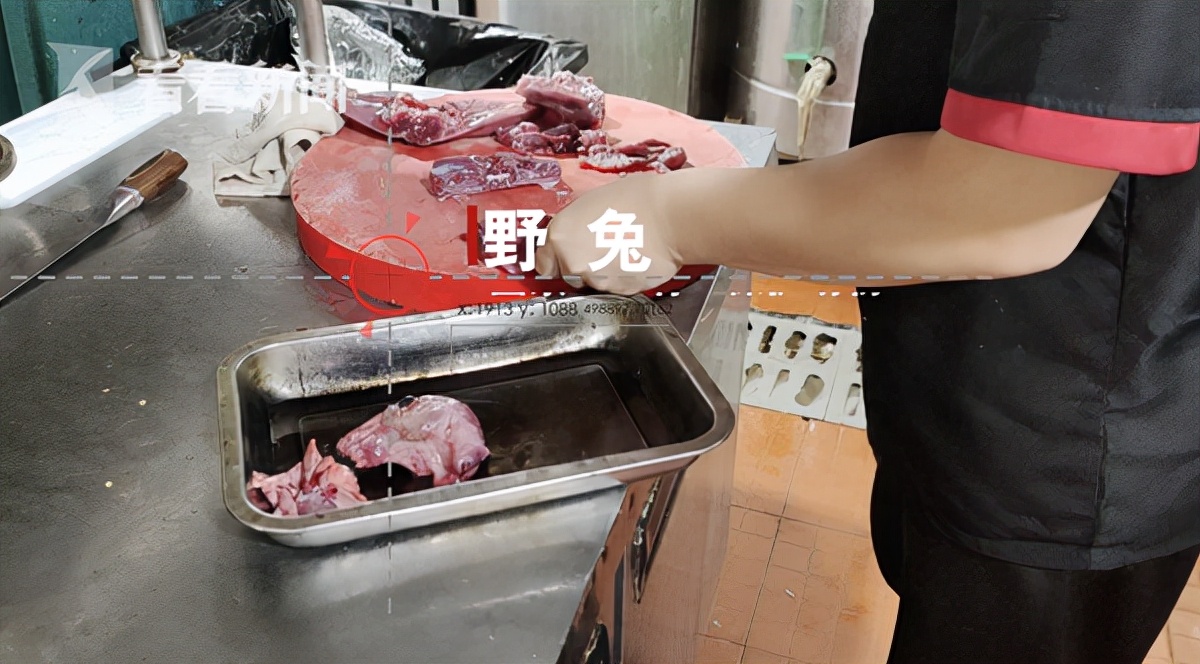 疫情|新冠疫情仍严峻！杭州竟还有人吃野味：众网友看不下去了